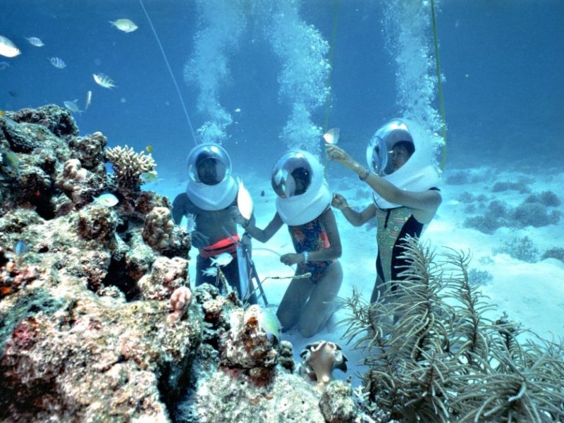 Wisata Marine Bali