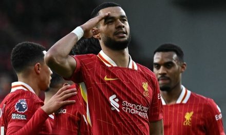 Cody Gakpo, Winger Modern Dengan Insting Gol Tinggi