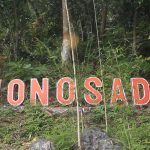 Hutan Wonosadi Keragaman Hayati Yang Harus Di Lestarikan