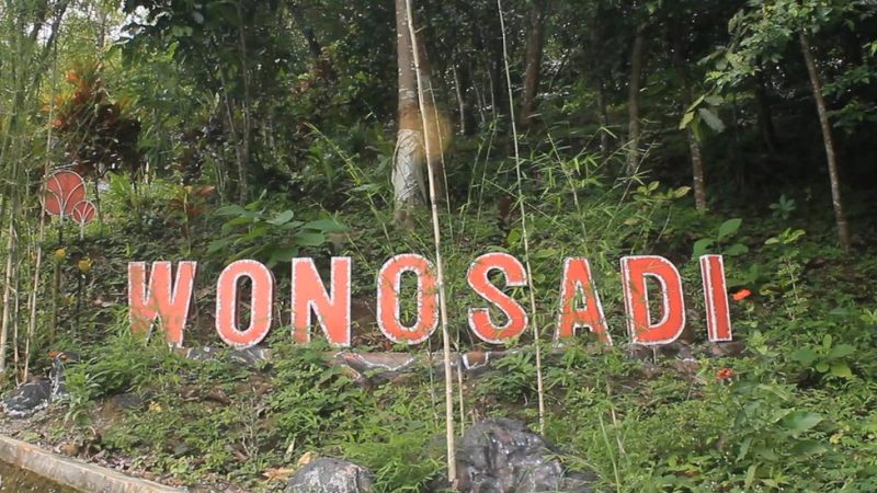 Hutan Wonosadi