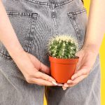 Penyakit Wasir Kenali Gejala Yang Dapat Muncul Pada Penderita Wasir