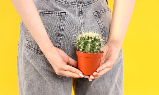 Penyakit Wasir Kenali Gejala Yang Dapat Muncul Pada Penderita Wasir