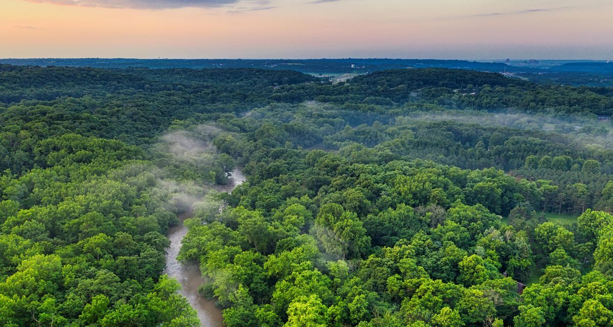 Menelusuri Misteri Kehidupan Liar Yang Ada Di Hutan Amazon