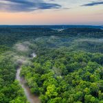 Menelusuri Misteri Kehidupan Liar Yang Ada Di Hutan Amazon
