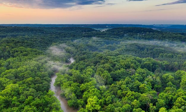 Menelusuri Misteri Kehidupan Liar Yang Ada Di Hutan Amazon