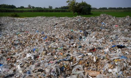 Limbah Plastik Zat Yang Bisa Merusak Berbagai Ekosistem