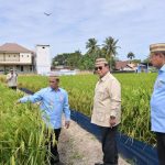 Teknologi Baru Dunia Pertanian, Menghadapi Krisis Pangan Global