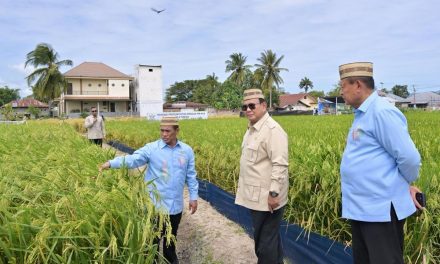 Teknologi Baru Dunia Pertanian, Menghadapi Krisis Pangan Global
