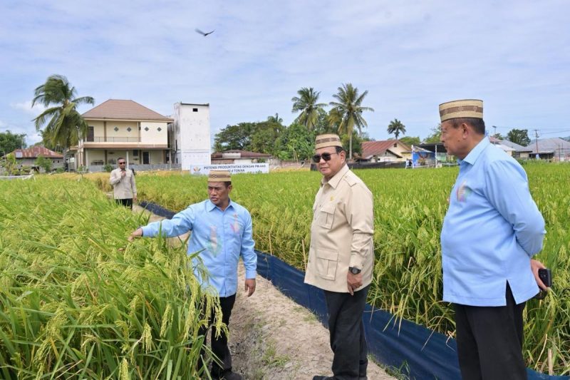 Teknologi Baru