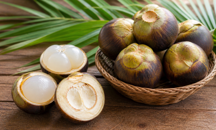 Buah Lontar Banyak Manfaat Dan Kini Semakin Di Cari