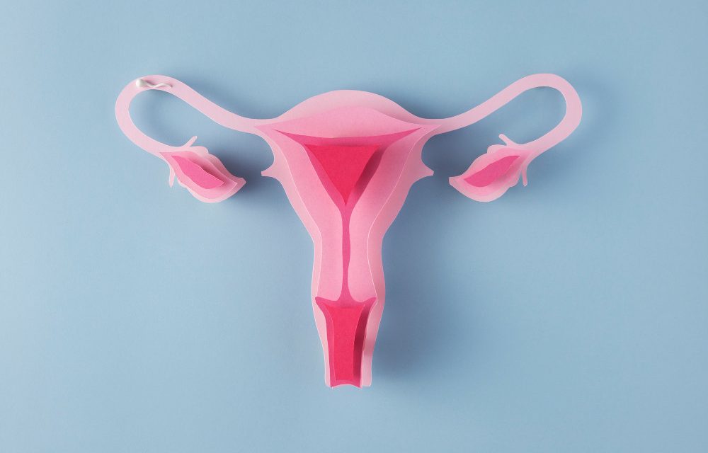 Anovulasi Sebagai Penyebab Utama Masalah Kesuburan Wanita