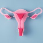 Anovulasi Sebagai Penyebab Utama Masalah Kesuburan Wanita