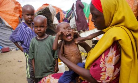 Kelaparan Di Somalia, Bantuan Internasional Menanggulangi Krisis
