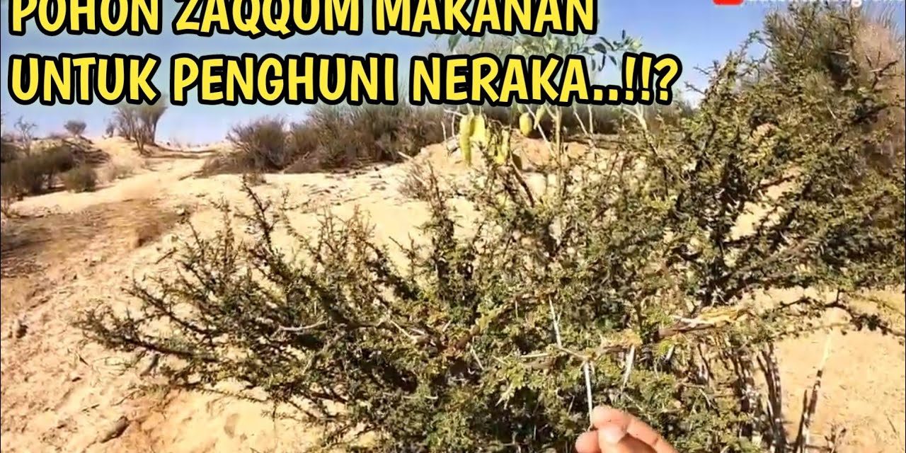 Pohon Neraka Sebuah Konsep Tradisi Mitologi Agama