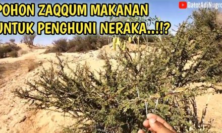 Pohon Neraka Sebuah Konsep Tradisi Mitologi Agama